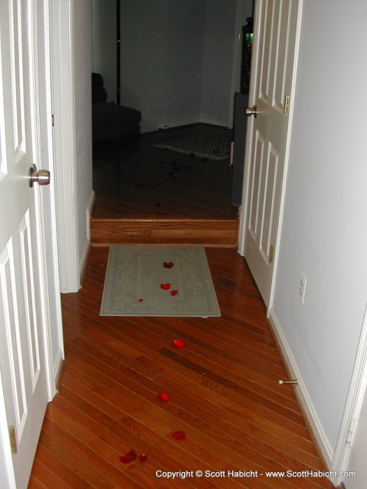 Valentine's Day, and Kelli came home to rose petals on the floor.