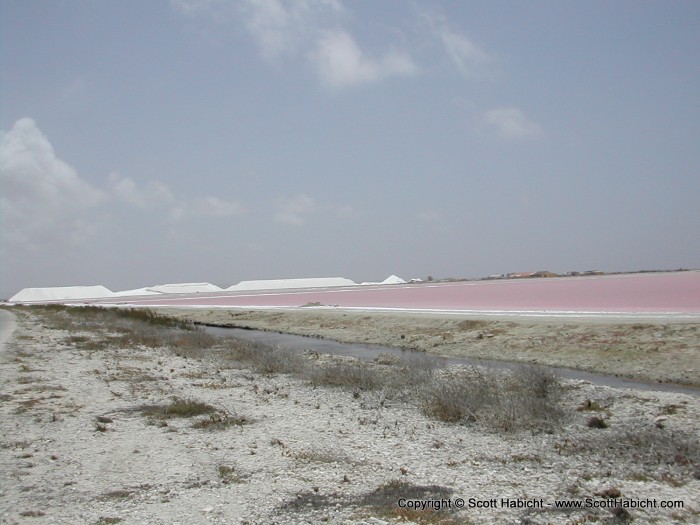 The pink is the salt drying fields. They pump sea water into the fields, then let the sun evaporate the water, leaving the salt.