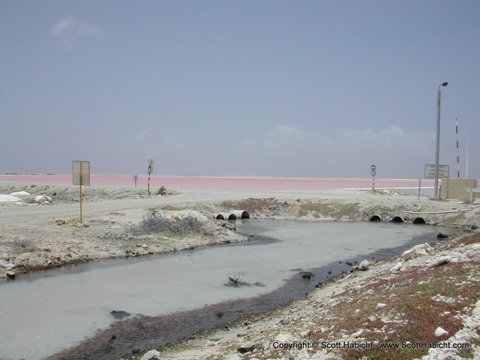 Bonaire's climate is very dry, not much rain at all during the course of the year.