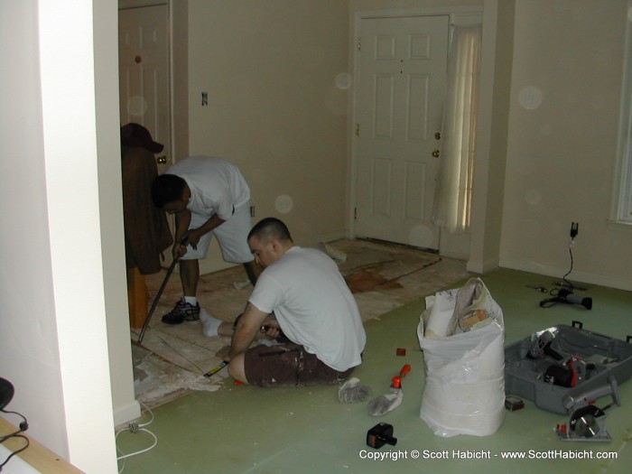 Brian, not satisfied with just vacuuming the floor, decides to replace the carpet with hard wood.