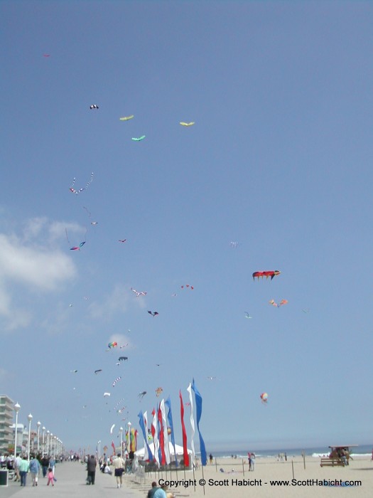 It turns out it was kite week at the ocean...