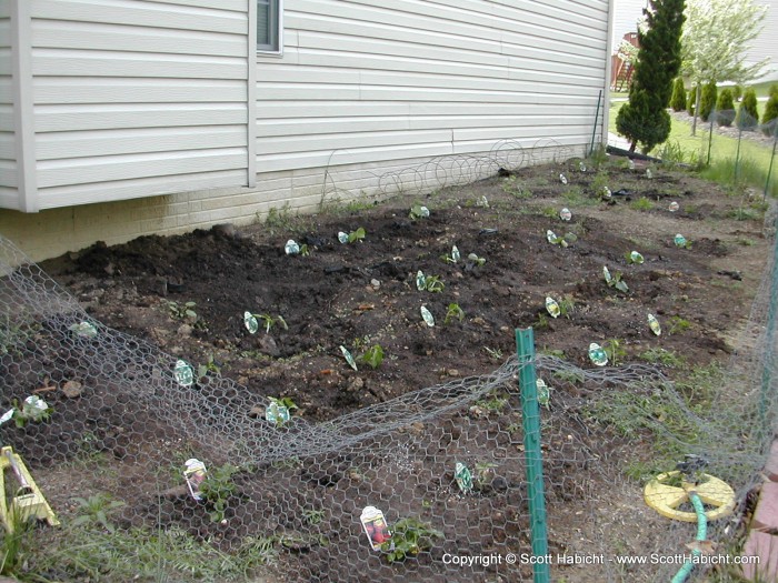 I just finished planting my garden, I'll post another picture at the end of the summer so you can see the difference.