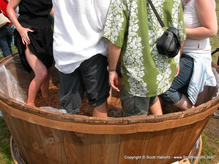 We all walked around in the barrel, and stepped on the grapes.