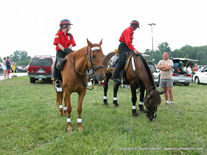 The horses came for the grass, not the margaritas.