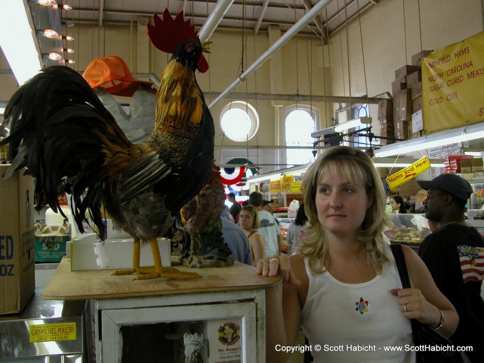 Rachel tries to ignore the cock, but I think she secretly wants to take it home.