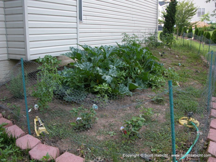 An update on my garden. Click here to see what it looked like from Spring