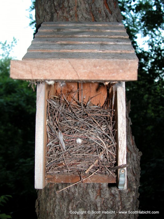 Last year we cleaned out this box (click here), this year it seems that a bird has made a nest.