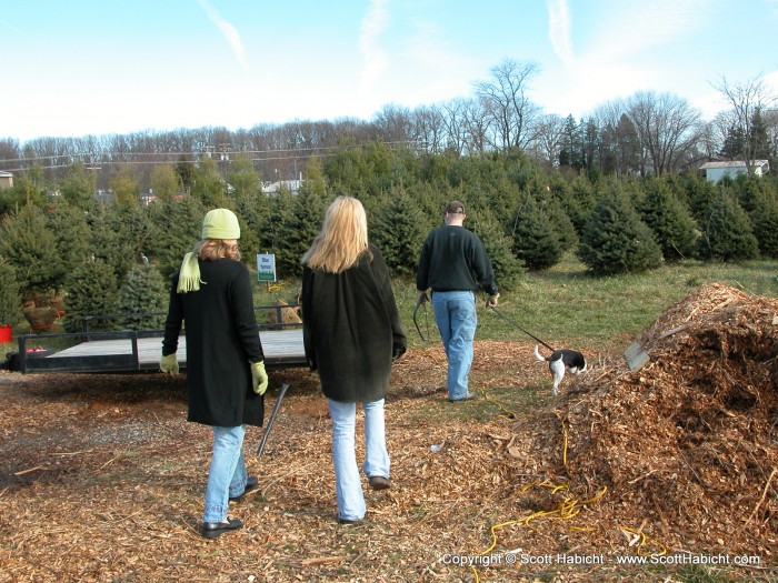 We got our tree from Greenway Farms.