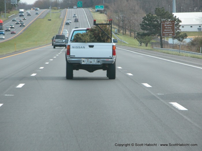 And we threw his and ours in the back of the truck for the ride home.