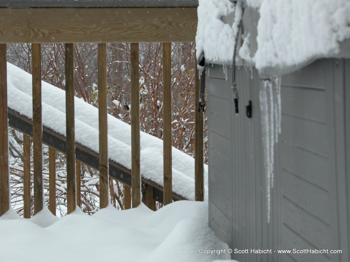 It snowed right before the party, but that didn't stop us from having it.