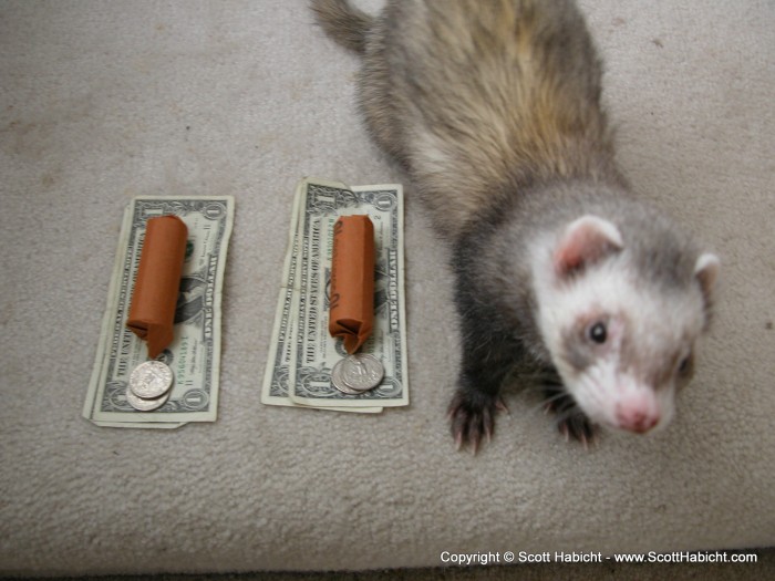 Chauncey helps me count the money.