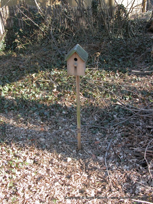 I found this birdbox, so I set it up for them.