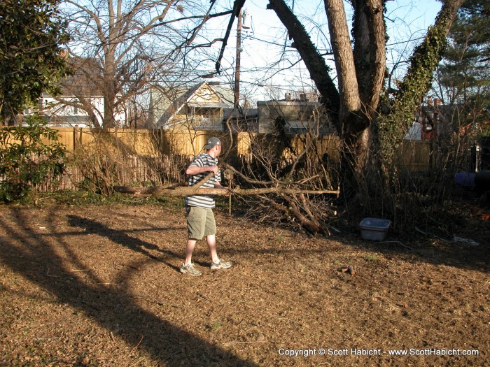 Brian got the dead trees....