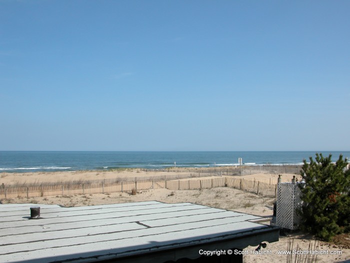 Actually, I was just getting a shot of the ocean, and they got in the way.