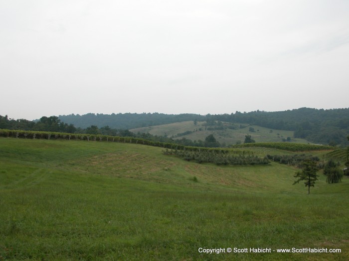 The hills are alive, with the sounds of drinking.