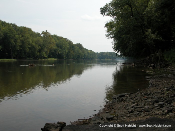 The winery is right on the Potomac river, so we went down to have a look.