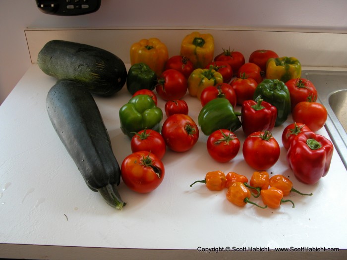 Part of the haul from our garden this year.