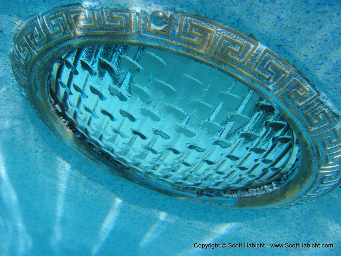 The water was much easier to take pictures in the pool...