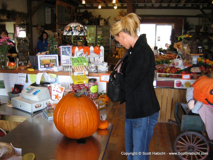 Two small pumpkins, and one BIG pumpkin!!