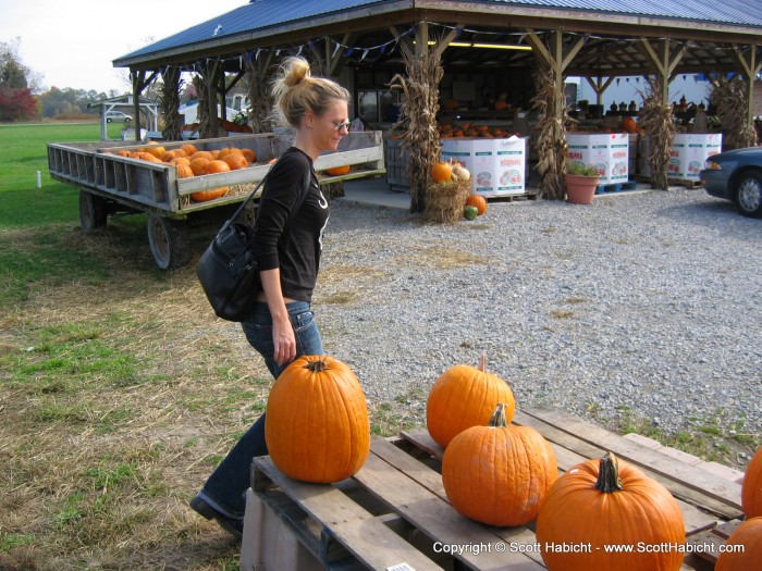 We stopped on the way home and bought another pumpkin.