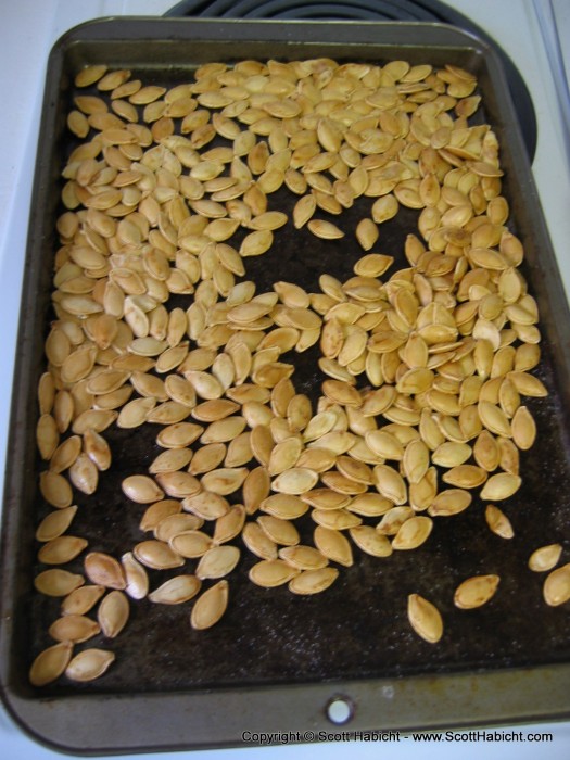 By the time I had it all setup, Kelli's roasted pumpkin seeds were ready to be eaten!!!