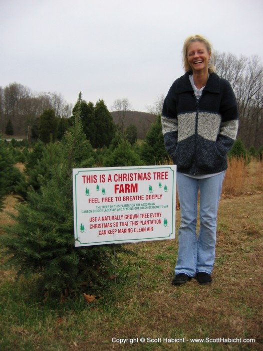 We also bought our Christmas tree the weekend of Thanksgiving.