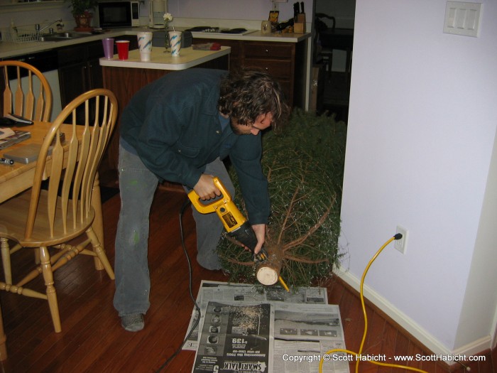 When we got home, I had to trim the tree so it would fit in the room.