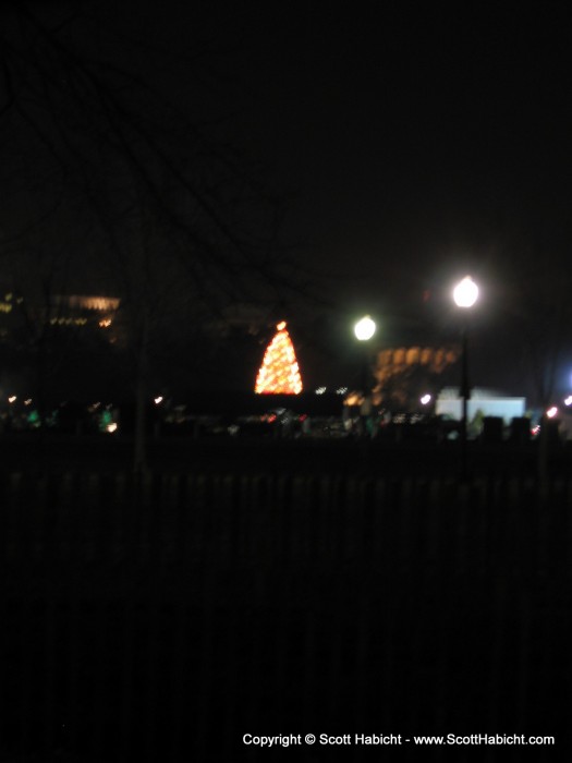 The national Christmas tree in front of the White House.