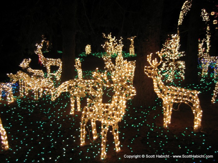 This house had a whole herd of deer.