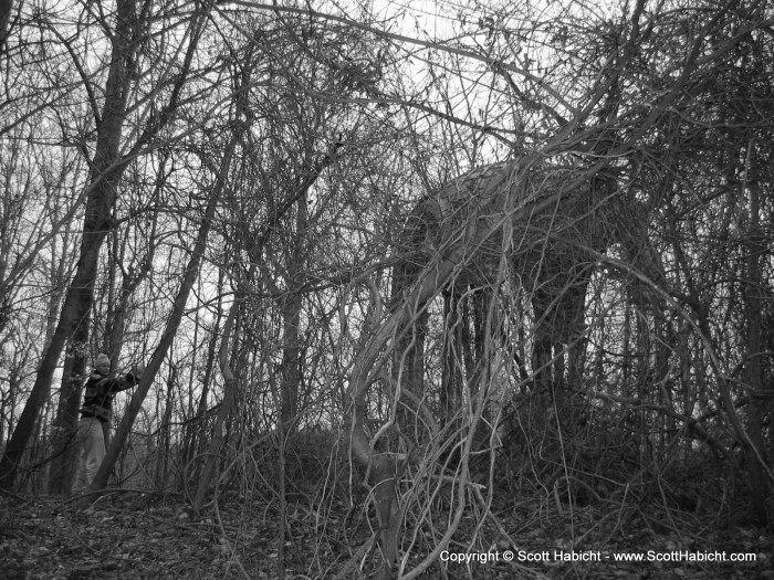 There is also an old cemetary.