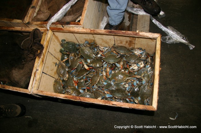 The local favorite, Maryland Blue Crab.