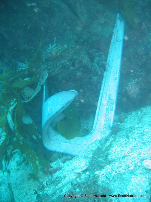 The anchor was wedged under a rock, and the divemaster had to come down and unhook it.