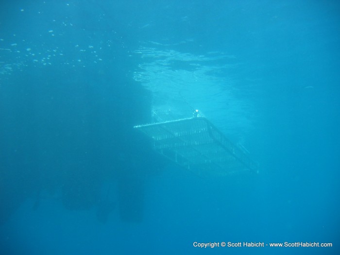 I got that "Jaws" feeling when approaching the boat.