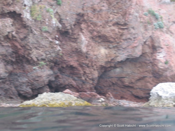 The white spot in the bottom center was a seal on the rock. The water was too choppy for me to get a good picture.