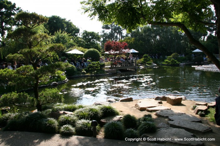 They were married at the CSU Japanese Garden.