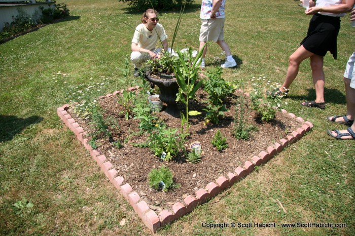 The fresh herb garden.