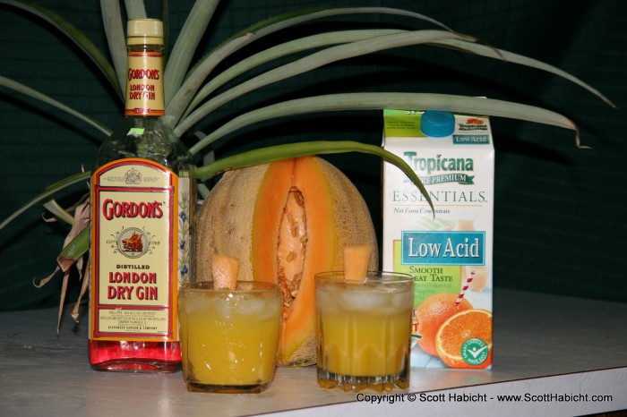 We came up with a gin and juice variant using cantalope that we call the "Voodoo Cocktail".