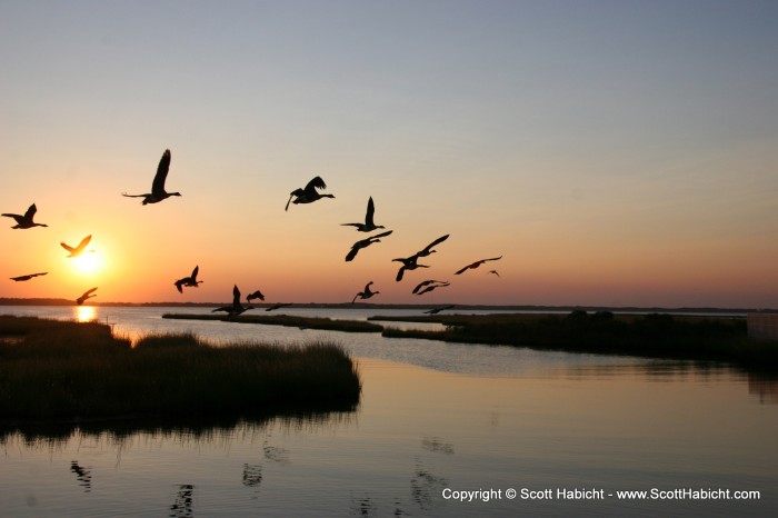 This scenic picture brought to you by Talon Photography.