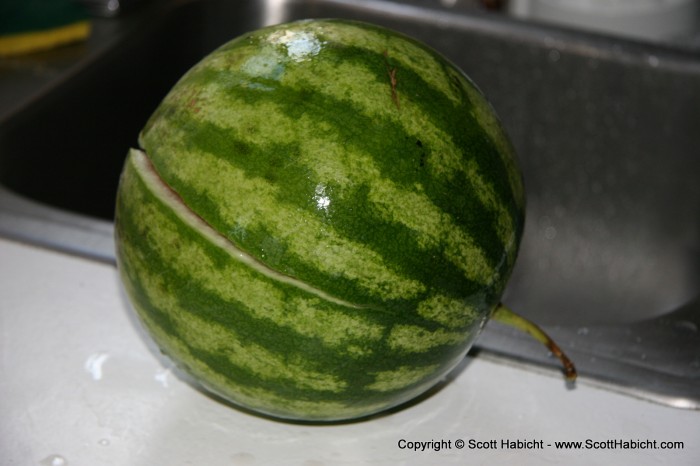 Well that's all for Summer, time for me to enjoy my home grown watermelon!!!!!