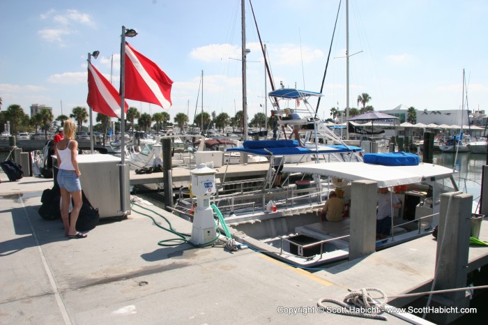 The next day it was down to the docks for some SCUBA.