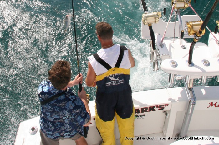 Dan caught the first fish of the day, but not the biggest.