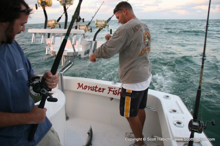 But I got the biggest, a kingfish at 27 inches.