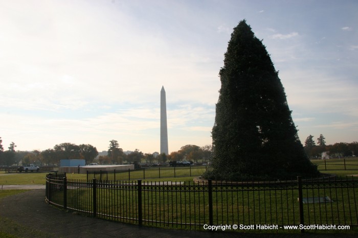 To get tickets to the lighting of the national Christmas tree!!!