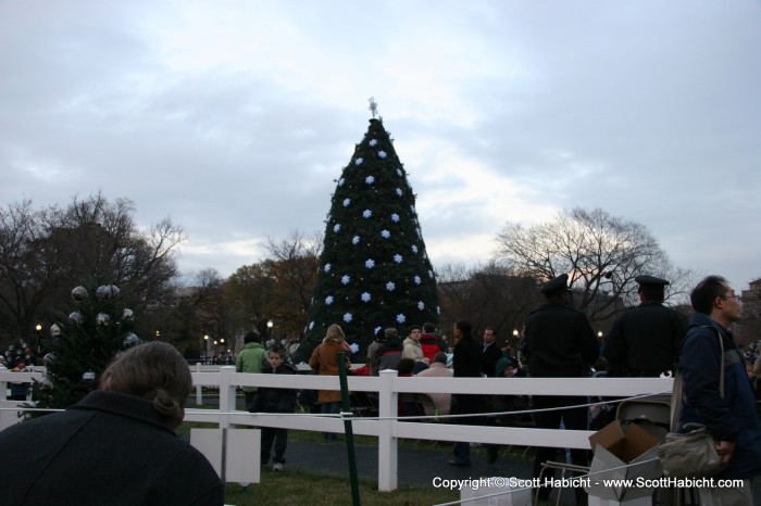 It was time to watch the lighting of the National Christmas tree.