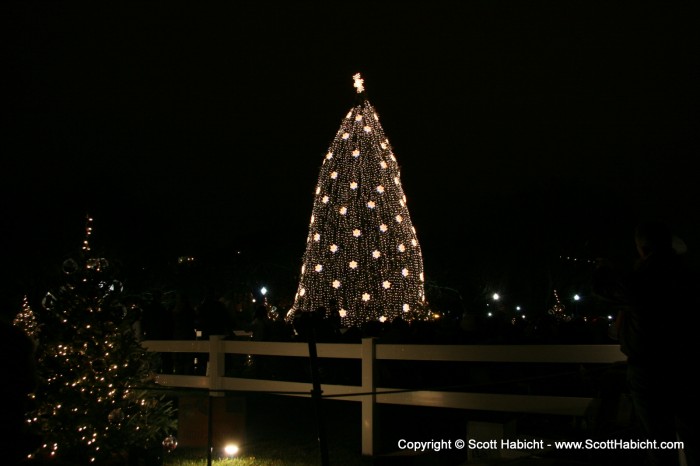 And lit the tree.