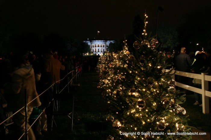 The lights looked pretty in front of the White House.