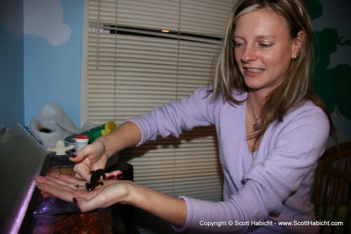 Kelli played with Taylor's newt.