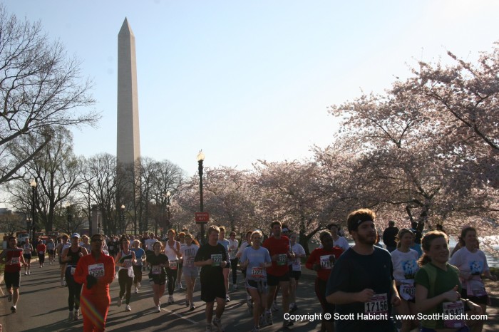 And this was the Cherry Blossom 10 miler.