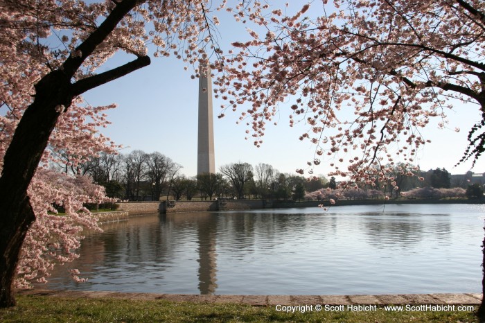 DC in the Spring time.