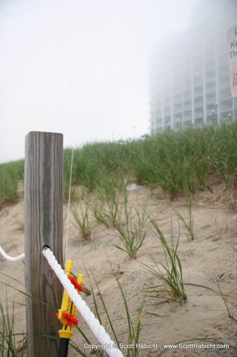 Notice the kite string tied to the post. I couldn't see the kite in the sky at all, but it was there somewhere.